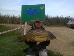 balta vlahi